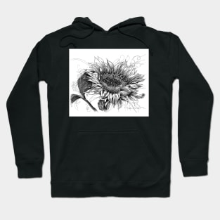 Here Comes The Sun Hoodie